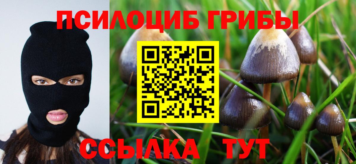 Псилоцибиновые грибы ЛСД Чистополь